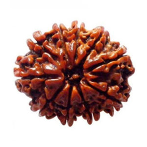 10 Mukhi