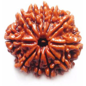 11 Mukhi