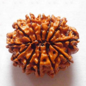 12 Mukhi