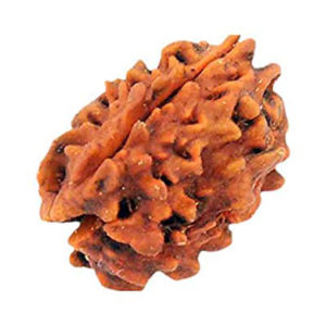 3 mukhi