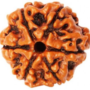 6 Mukhi