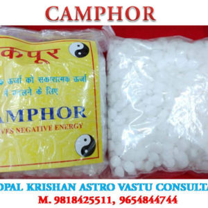 Camphor1