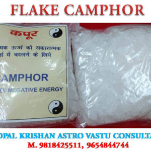 Camphor2