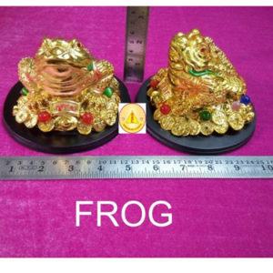 FROG-3