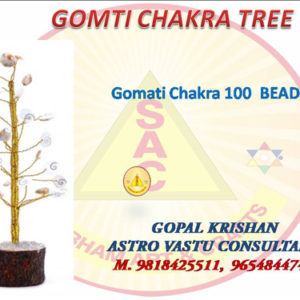 Gomti Tree