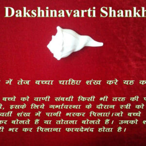 Dakshinavarti Shankh