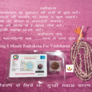 Vashikaran Rudraksh