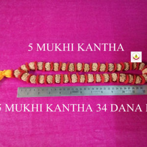 5 MUKHI KANTHA 34 DANA KA